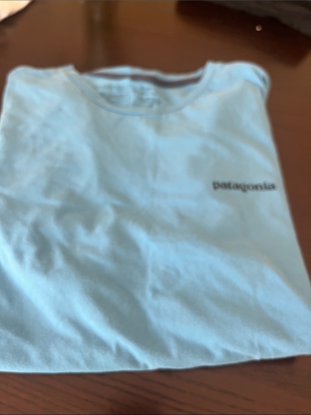 Patagonia Sky Blue Short Sleeve Tee